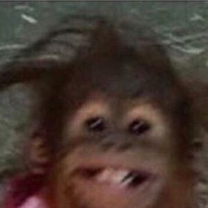 Meet your Posher, Ben